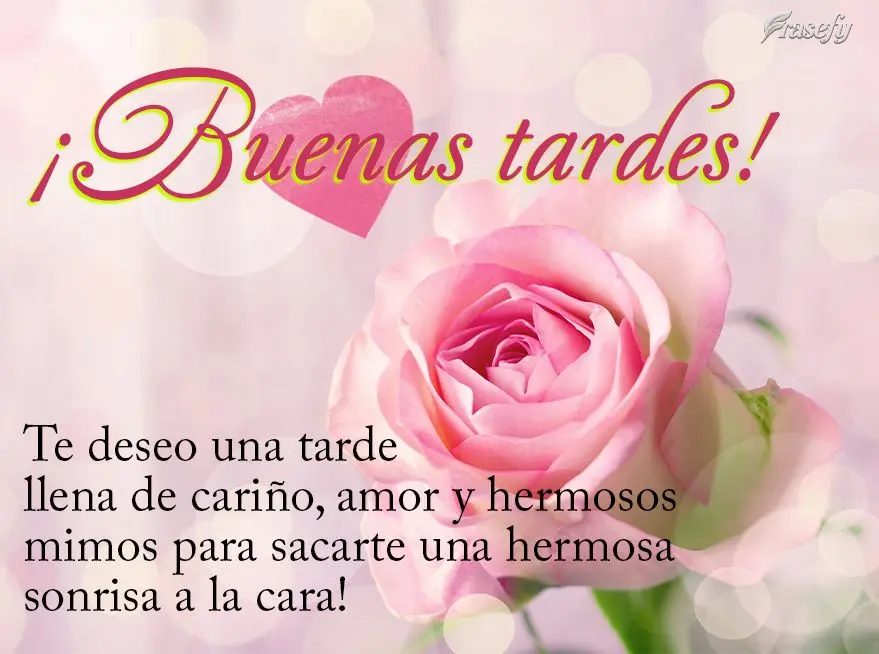 Te deseo una tarde llena de cariño, amor y hermosos mimos para sacarte una hermosa sonrisa a la cara! ¡Buenas tardes!