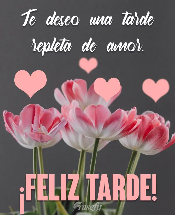 Te deseo una tarde repleta de amor. ¡Feliz tarde!