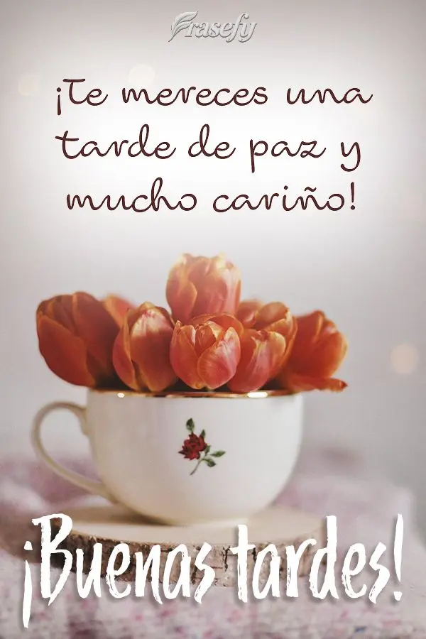 ¡Te mereces una tarde de paz y mucho cariño! ¡Buenas tardes!
