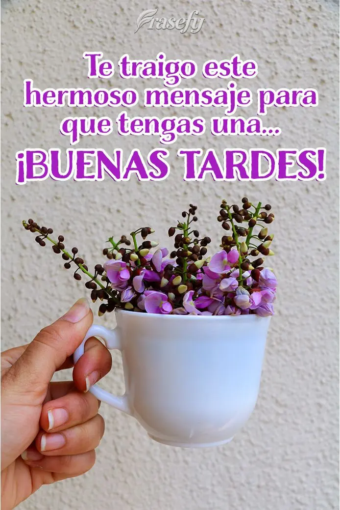 Te traigo este hermoso mensaje para que tengas una... ¡Buenas tardes!