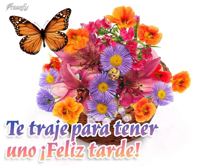 Te traje para tener uno ¡Feliz tarde!