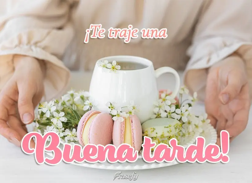 ¡Te traje una buena tarde!