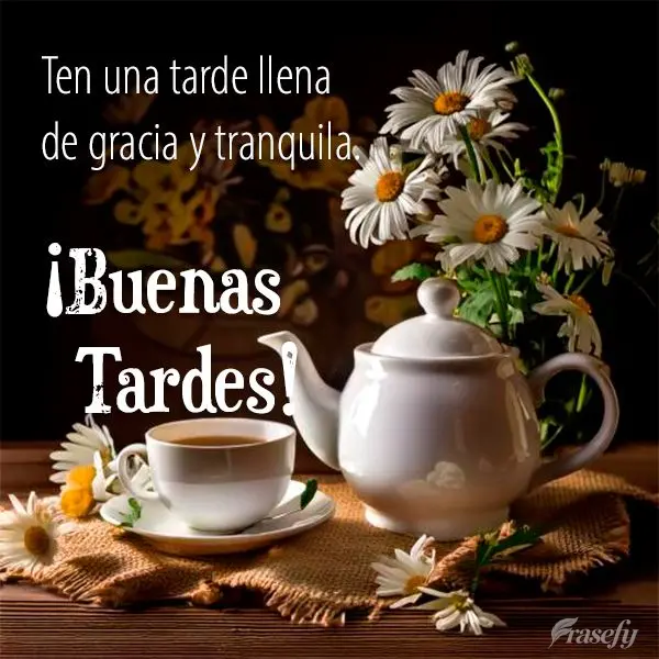 Ten una tarde llena de gracia y tranquila. ¡Buenas tardes!