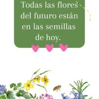 Todas las flores del futuro están en las semillas de hoy. ¡Buenas tardes!