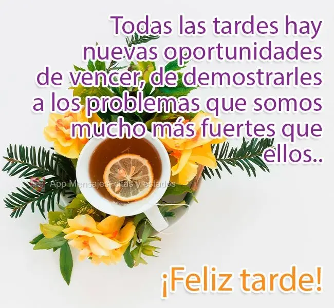 Todas las tardes hay nuevas oportunidades de vencer, de demostrarles a los problemas que somos mucho más fuertes que ellos. ¡Feliz tarde!
