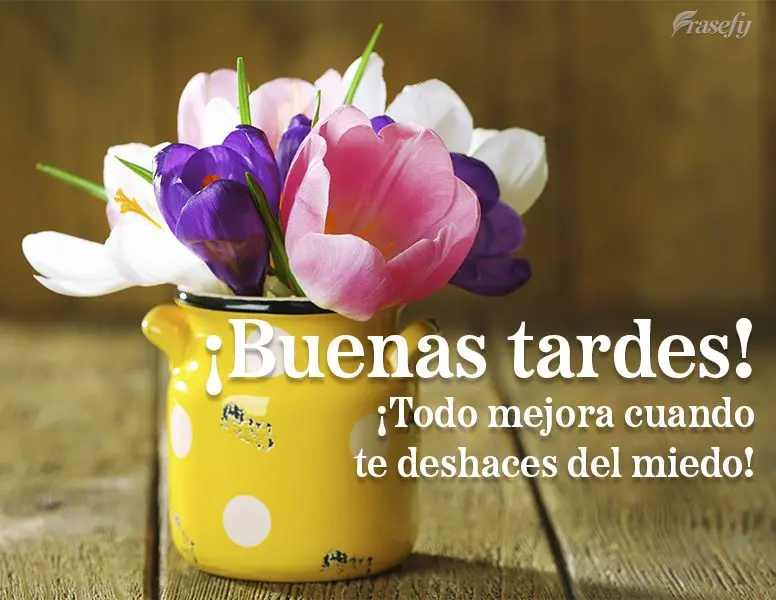 ¡Todo mejora cuando te deshaces del miedo! ¡Buenas tardes!