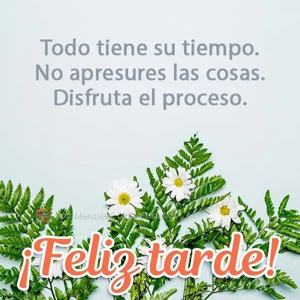 Todo tiene su tiempo. No apresures las cosas. Disfruta el proceso. ¡Feliz tarde!