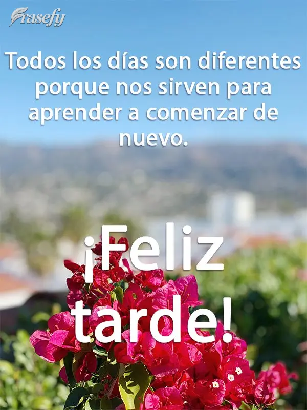 Todos los días son diferentes porque nos sirven para aprender a comenzar de nuevo. ¡Feliz tarde!