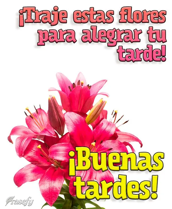 ¡Traje estas flores para alegrar tu tarde! ¡Buenas tardes!