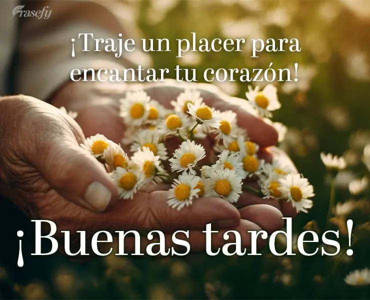 ¡Traje un placer para encantar tu corazón! ¡Buenas tardes!