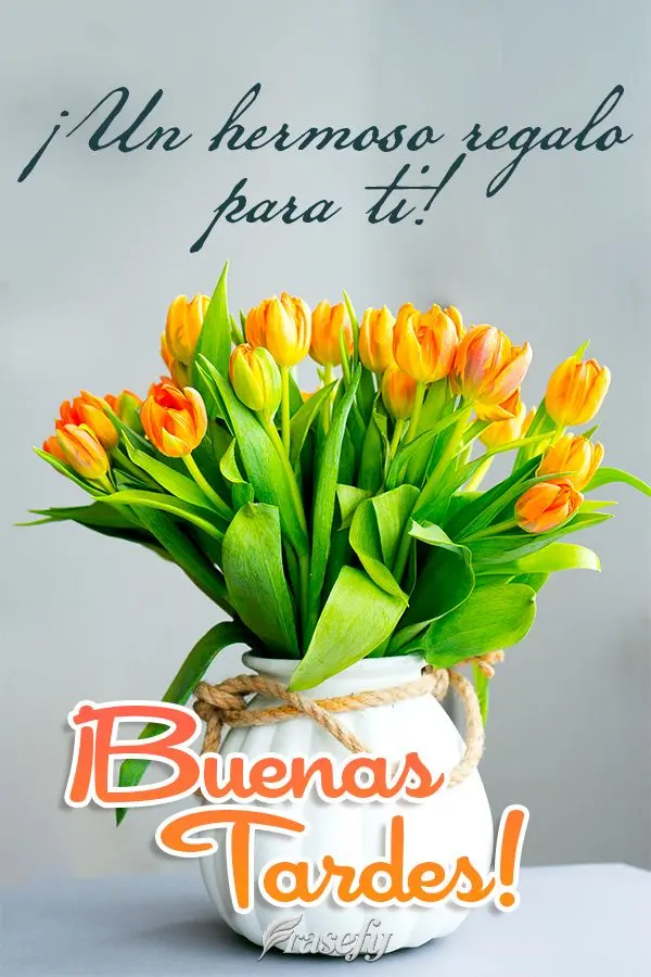 ¡Un hermoso regalo para ti! ¡Buenas tardes!