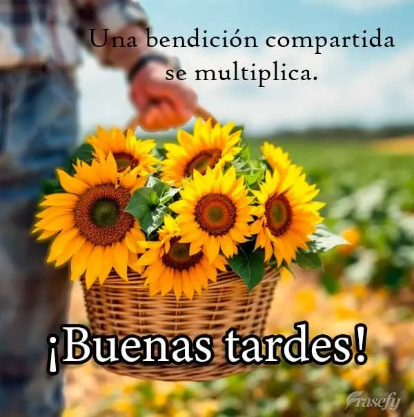 Una bendición compartida se multiplica. ¡Buenas tardes!