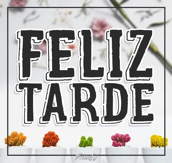 Una flor especial para alguien especial. ¡Feliz tarde!