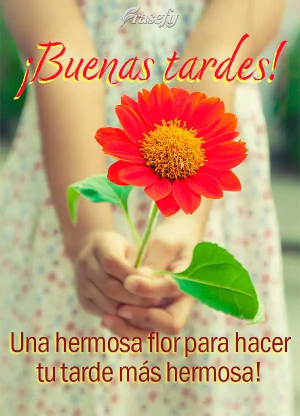 Una hermosa flor para hacer tu tarde más hermosa! ¡Buenas tardes!