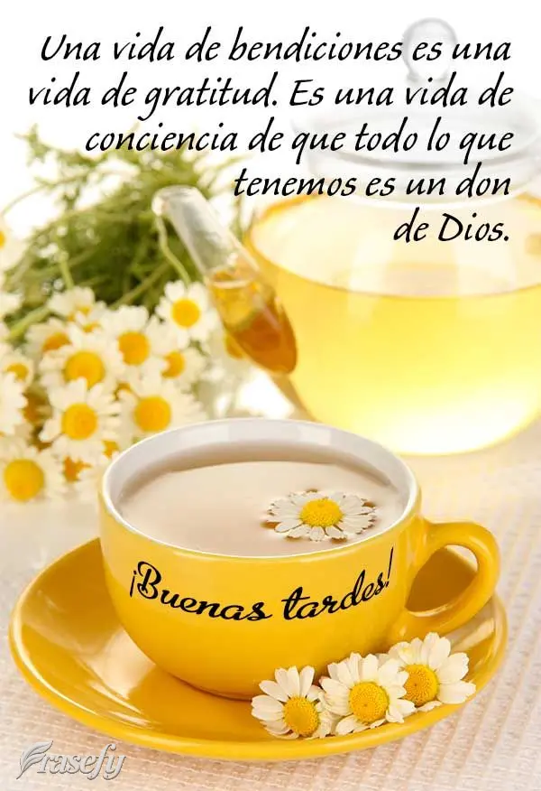 Una vida de bendiciones es una vida de gratitud. Es una vida de conciencia de que todo lo que tenemos es un don de Dios. ¡Buenas tardes!