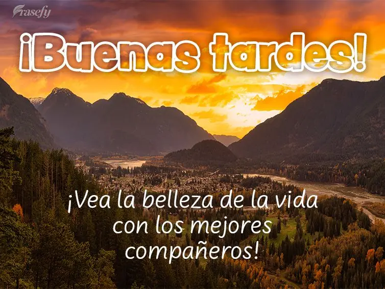 ¡Vea la belleza de la vida con los mejores compañeros! ¡Buenas tardes!