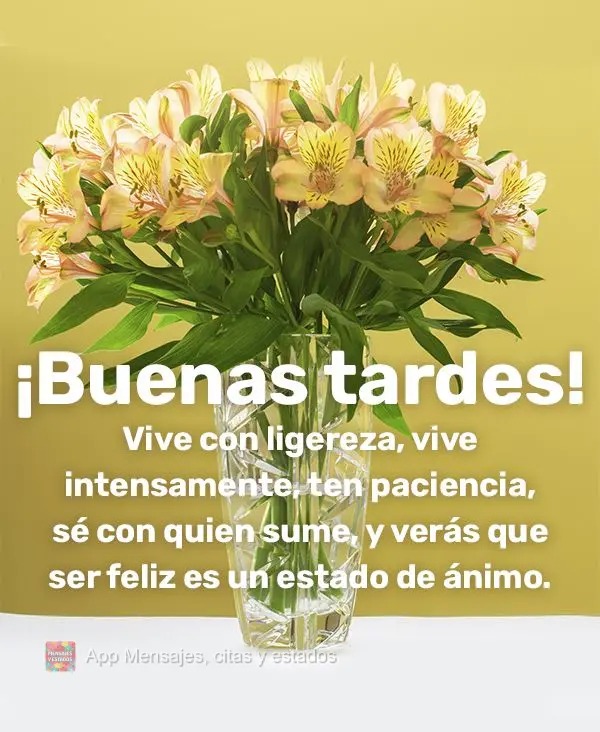 Vive con ligereza, vive intensamente, ten paciencia, sé con quien sume, y verás que ser feliz es un estado de ánimo. ¡Buenas tardes!