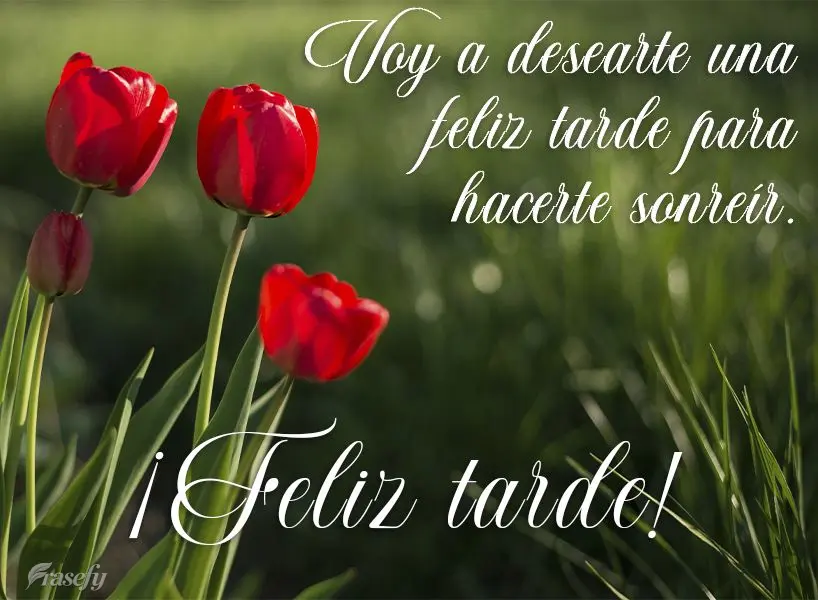 Voy a desearte una feliz tarde para hacerte sonreír. ¡Feliz tarde!