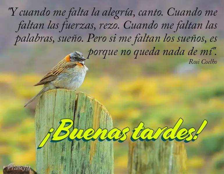 "Y cuando me falta la alegría, canto. Cuando me faltan las fuerzas, rezo. Cuando me faltan las palabras, sueño. Pero si me faltan los sueños, es porqu...