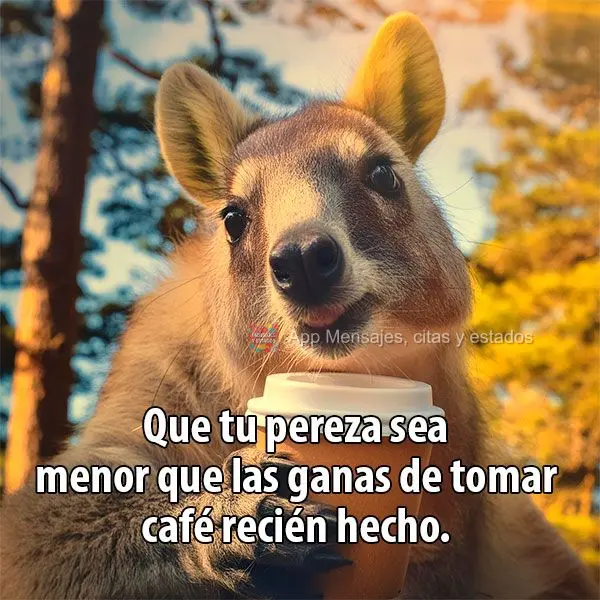 Que tu pereza sea menor que las ganas de tomar café recién hecho.