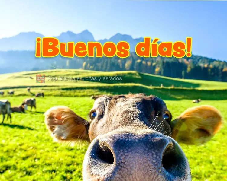 ¡Buenos días grupo!