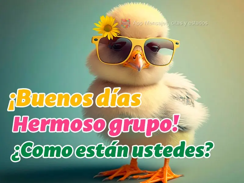 ¡Buenos días hermoso grupo! ¿Como están ustedes?