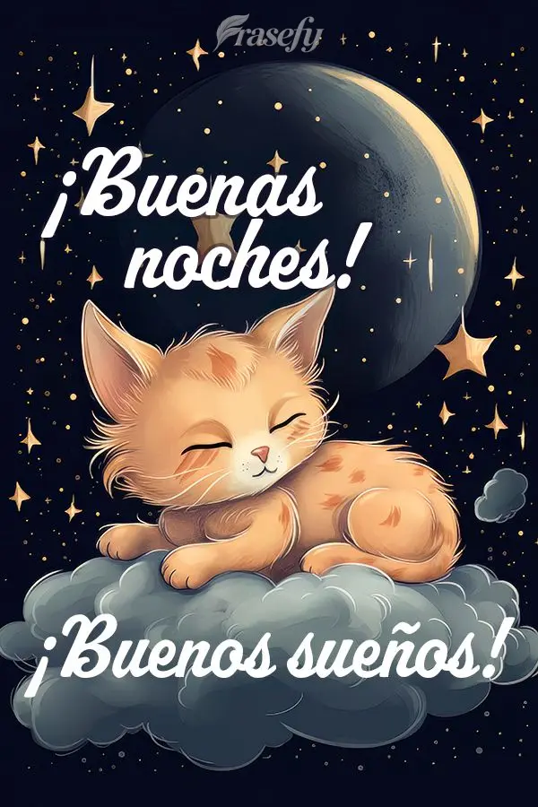 ¡Buenos sueños! ¡Buenas noches!