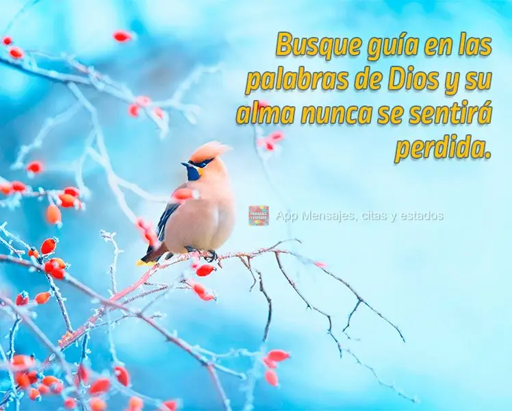 Busque guía en las palabras de Dios y su alma nunca se sentirá perdida.