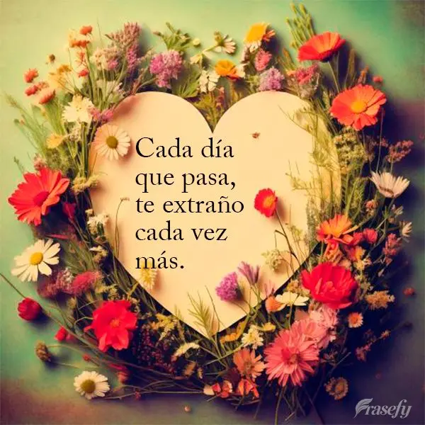 Cada día que pasa, te extraño cada vez más.