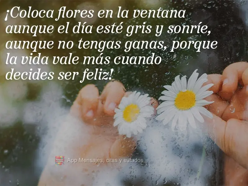 ¡Coloca flores en la ventana aunque el día esté gris y sonríe, aunque no tengas ganas, porque la vida vale más cuando decides ser feliz!