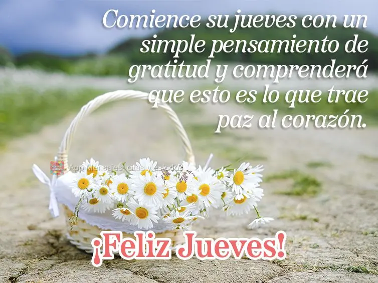 Comience su jueves con un simple pensamiento de gratitud y comprenderá que esto es lo que trae paz al corazón. ¡Feliz jueves!
