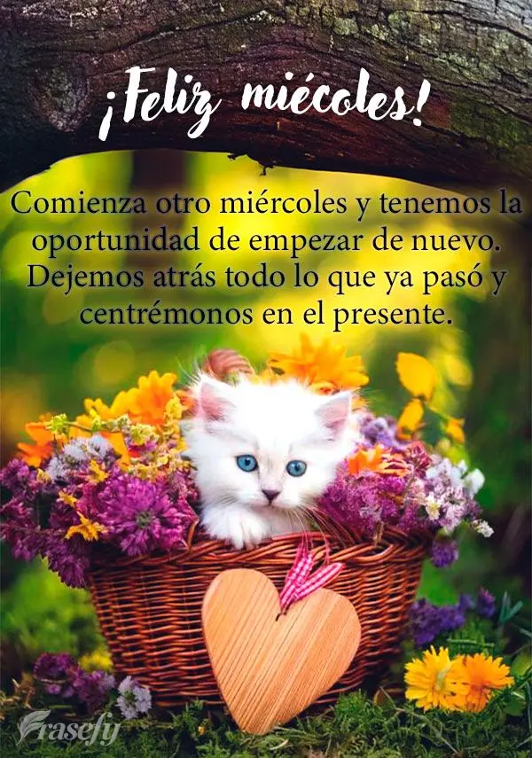 Comienza otro miércoles y tenemos la oportunidad de empezar de nuevo. Dejemos atrás todo lo que ya pasó y centrémonos en el presente. ¡Feliz miécol...