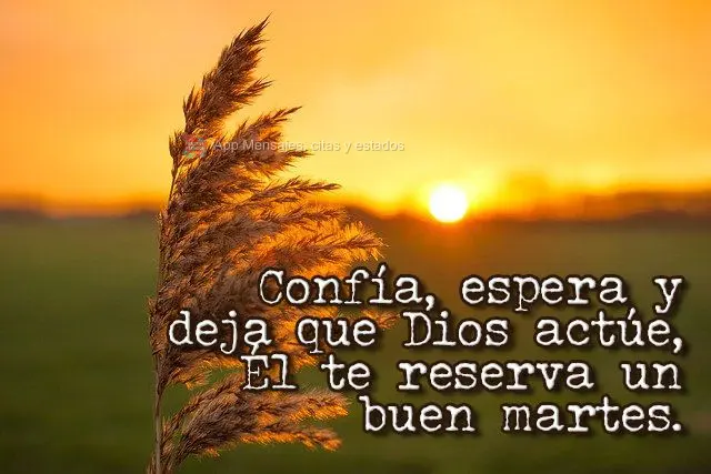 Confía, espera y deja que Dios actúe, Él te reserva un buen martes.