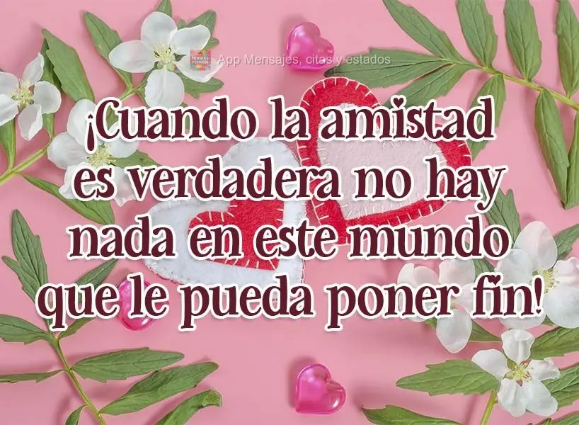 ¡Cuando la amistad es verdadera no hay nada en este mundo que le pueda poner fin!