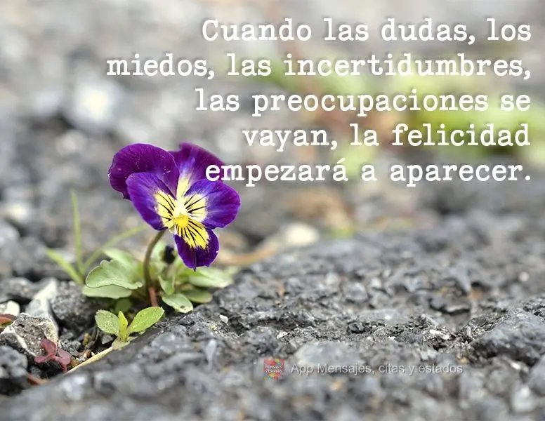 Cuando las dudas, los miedos, las incertidumbres, las preocupaciones se vayan, la felicidad empezará a aparecer.