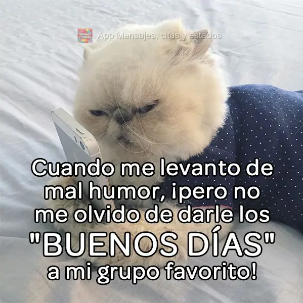 Cuando me levanto de mal humor, ¡pero no me olvido de darle los "buenos días" a mi grupo favorito!