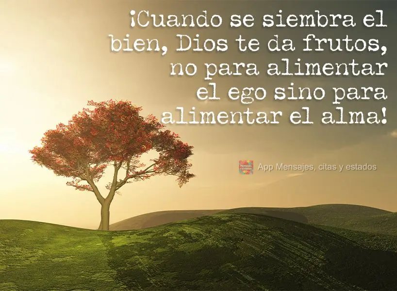 ¡Cuando se siembra el bien, Dios te da frutos, no para alimentar el ego sino para alimentar el alma!