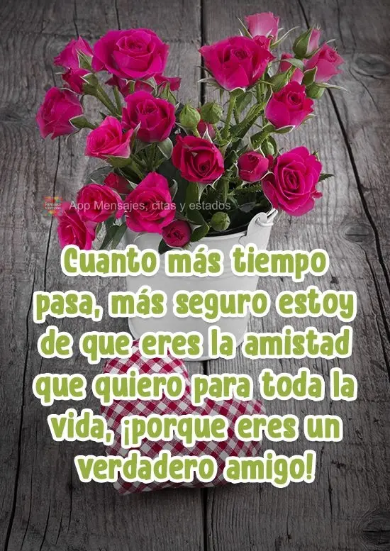 Cuanto más tiempo pasa, más seguro estoy de que eres la amistad que quiero para toda la vida, ¡porque eres un verdadero amigo!