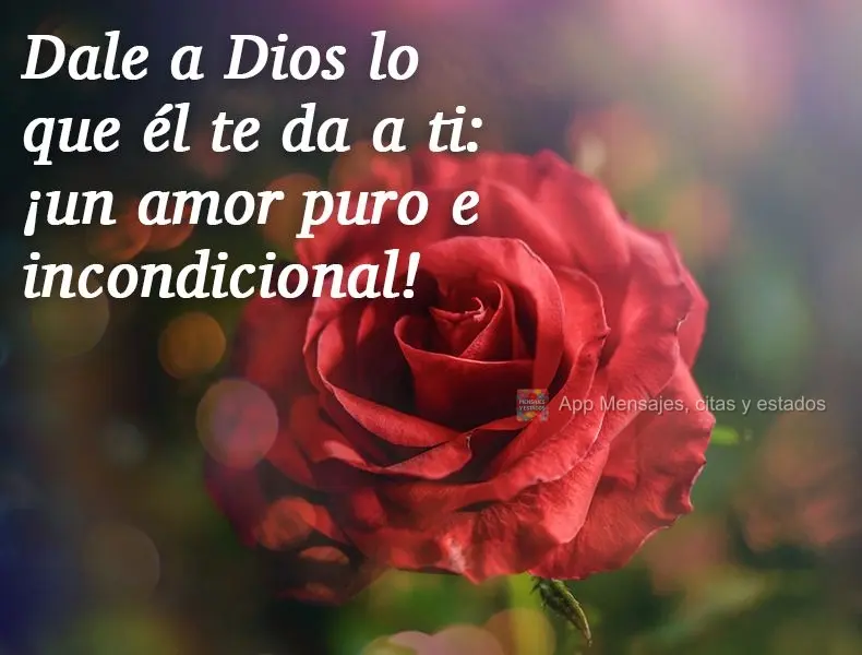 Dale a Dios lo que él te da a ti: ¡un amor puro e incondicional!