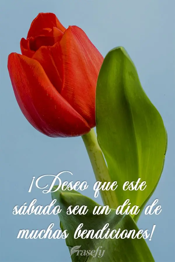 ¡Deseo que este sábado sea un día de muchas bendiciones!