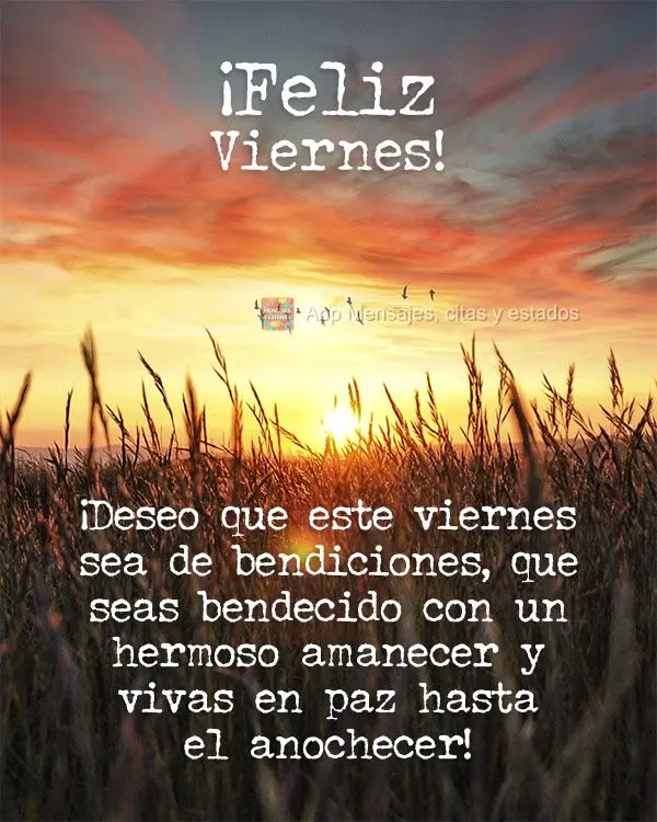 ¡Deseo que este viernes sea de bendiciones, que seas bendecido con un hermoso amanecer y vivas en paz hasta el anochecer! ¡Feliz viernes!