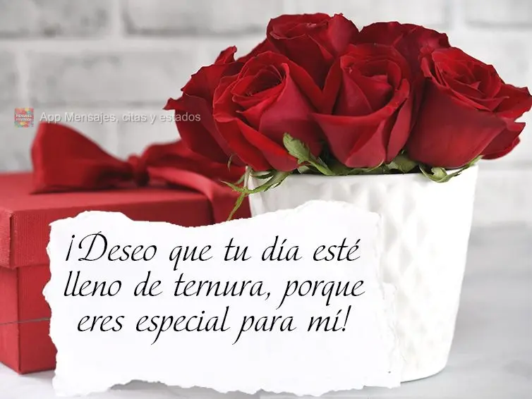 ¡Deseo que tu día esté lleno de ternura, porque eres especial para mí!
