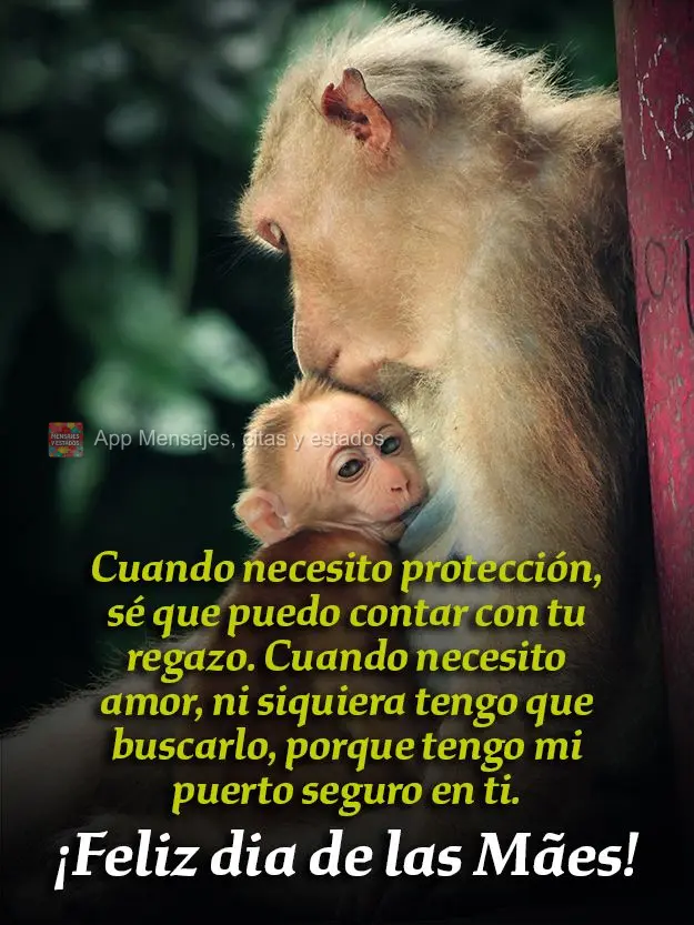 Cuando necesito protección, sé que puedo contar con tu regazo. Cuando necesito amor, ni siquiera tengo que buscarlo, porque tengo mi puerto seguro en t...