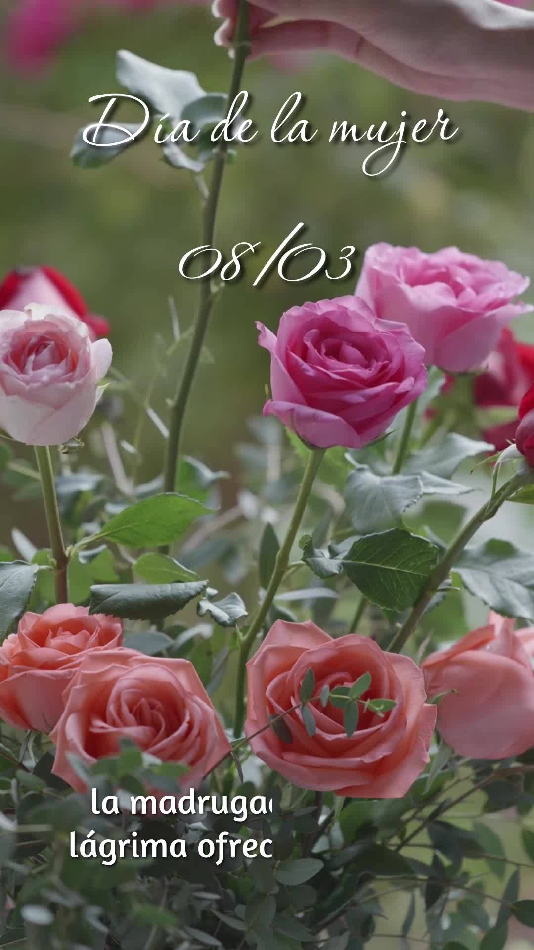 Día de la mujer
