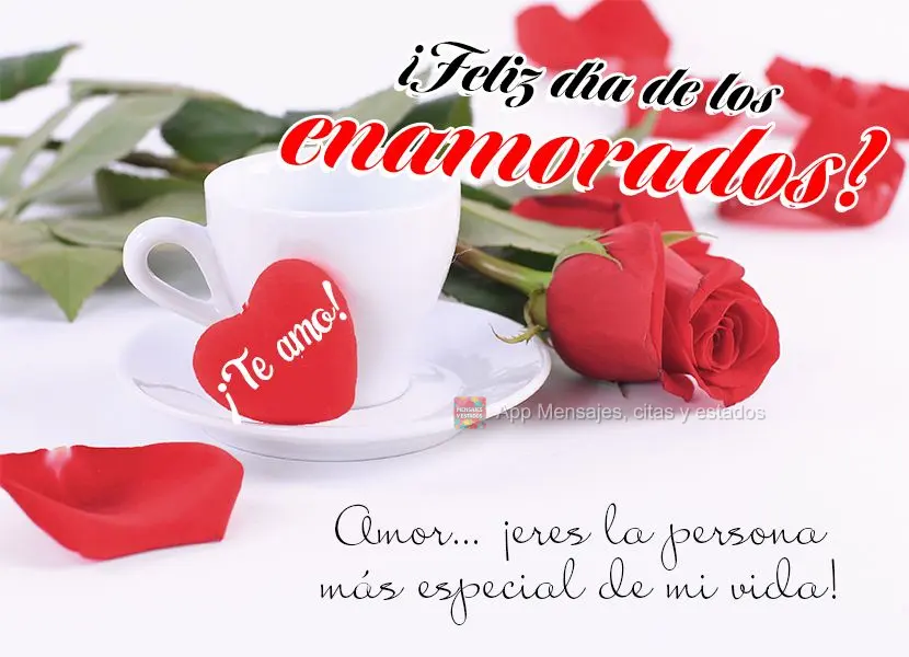 Amor… ¡Eres la persona más especial de mi vida! ¡Te amo! ¡Feliz día de los enamorados!