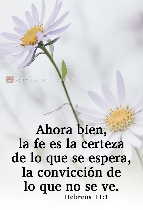 Ahora bien, la fe es la certeza de lo que se espera, la convicción de lo que no se ve. Hebreos 11:1