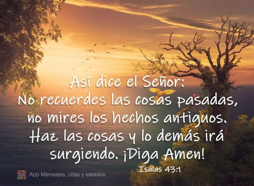 Así dice el Señor: No recuerdes las cosas pasadas, no mires los hechos antiguos. Haz las cosas y lo demás irá  surgiendo. ¡Diga Amen!  Isaías 43:1...