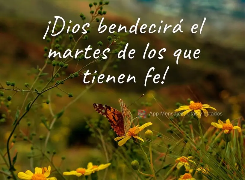 ¡Dios bendecirá el martes de los que tienen fe!