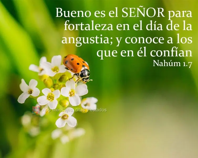 "Bueno es el SEÑOR para fortaleza en el día de la angustia; y conoce a los que en él confían". Nahúm 1:7