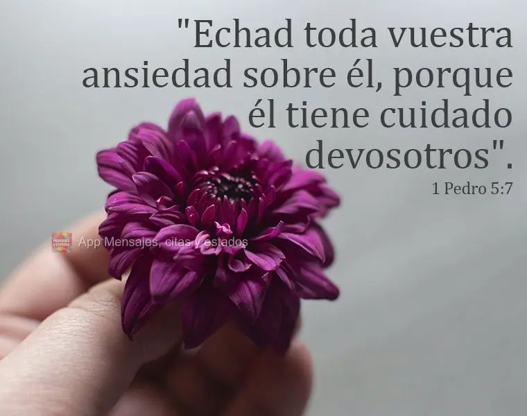 "Echad toda vuestra ansiedad sobre él, porque él tiene cuidado de vosotros".  1 Pedro 5:7